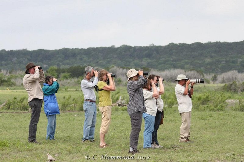 TLAS birder.jpg